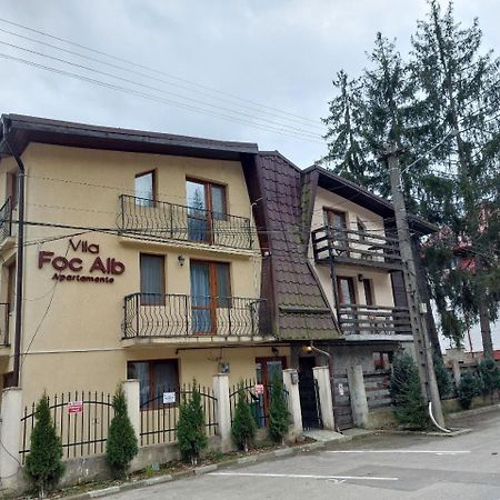 Vila Foc Alb Apartamente-בוסטאני מראה חיצוני תמונה