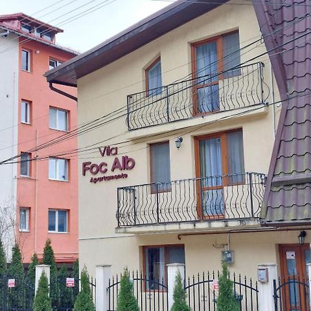 Vila Foc Alb Apartamente-בוסטאני מראה חיצוני תמונה