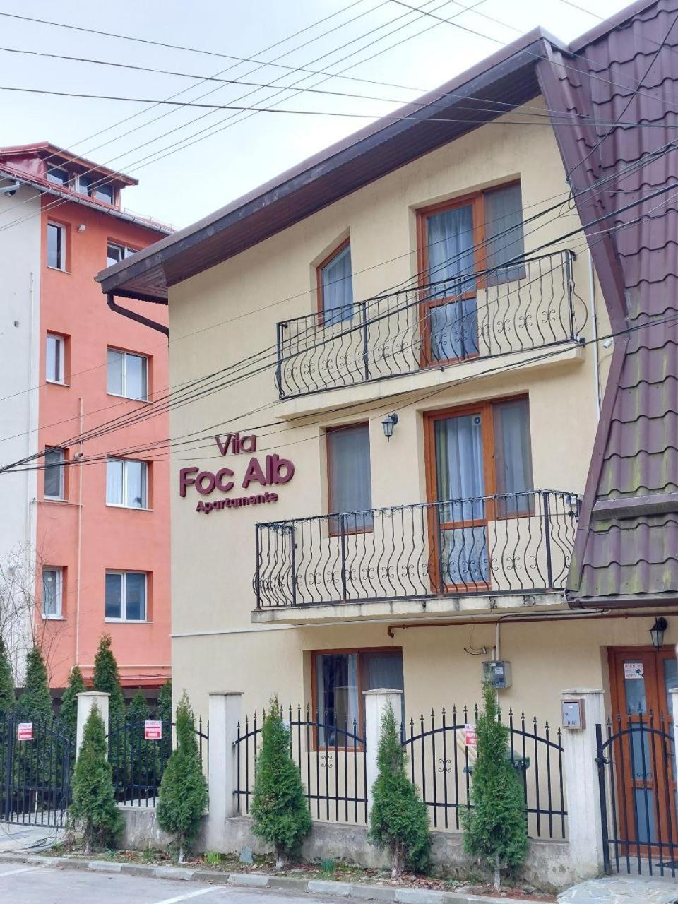 Vila Foc Alb Apartamente-בוסטאני מראה חיצוני תמונה