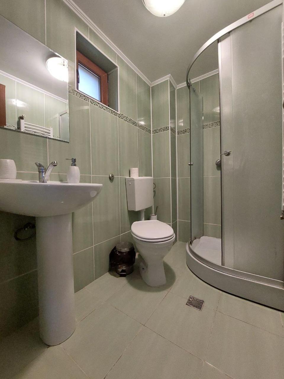 Vila Foc Alb Apartamente-בוסטאני מראה חיצוני תמונה