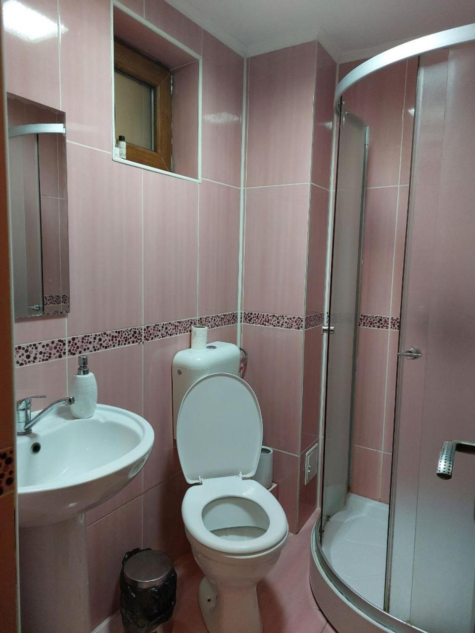 Vila Foc Alb Apartamente-בוסטאני מראה חיצוני תמונה
